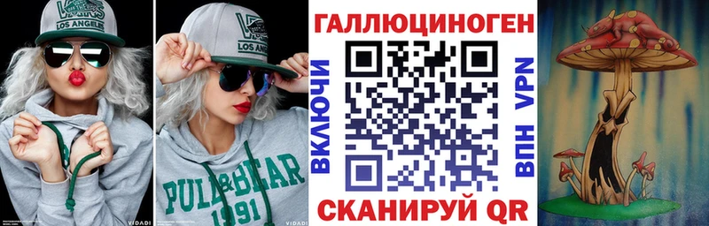 Галлюциногенные грибы Psilocybe  Злынка 